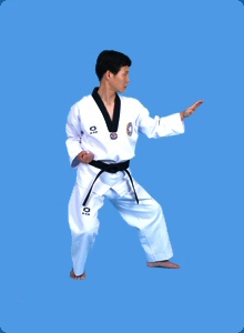 taegeug-sam-jang-12