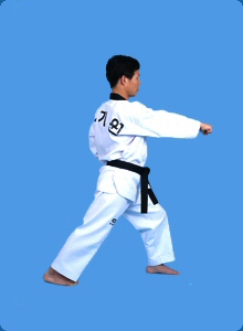 taegeug-sam-jang-13