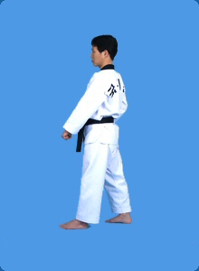 taegeug-sam-jang-18