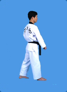 taegeug-sam-jang-22