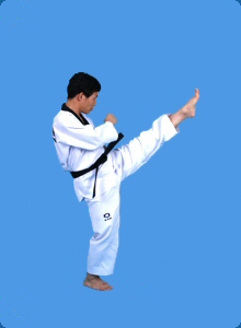 taegeug-sam-jang-23