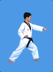 taegeug-sam-jang-24