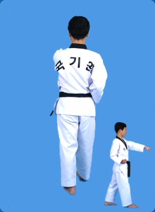 taegeug-sam-jang-29