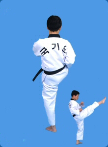 taegeug-sam-jang-31