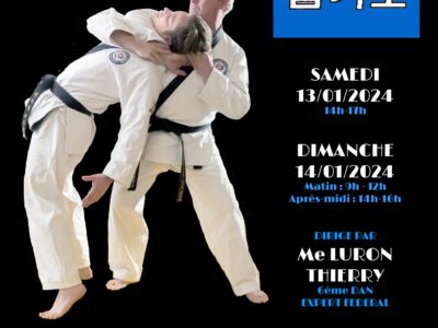 Stage Expert Hapkido 2024 – Sainghin-en-Mélantois
